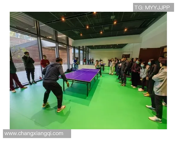 北京乒乓球队技术分析与发展探讨聚焦乒乓球运动的未来趋势与挑战